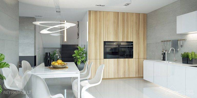 planasnamas - HomeKONCEPT 19 wnetrze 3