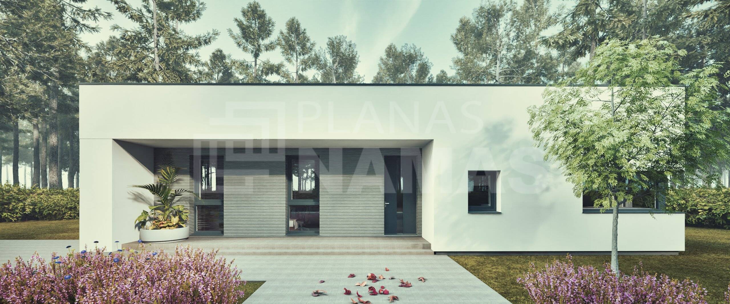 planasnamas - PLN0032 3D 2 003